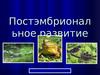Постэмбриональное развитие