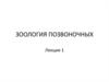 Зоология позвоночных
