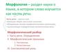 Морфология. Морфологический разбор