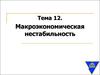 Макроэкономическая нестабильность