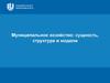 Муниципальное хозяйство: сущность, структура и модели