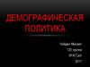 Демографическая политика