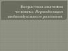 Возрастная анатомия человека. Периодизация индивидуального развития