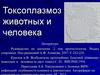 Токсоплазмоз животных и человека