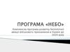 Комплексна програма розвитку безпілотної авіації військового призначення в Україні до 2020 року