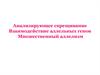Анализирующее скрещивание. Взаимодействие аллельных генов. Множественный аллелизм