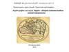 Картография как наука. Карта – обзорно-знаковая модель земной поверхности