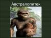 Группа ископаемых высших приматов австралопитеки