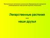 Лекарственные растения - наши друзья