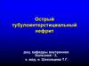 Острый тубулоинтерстициальный нефрит
