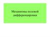 Механизмы половой дифференцировки