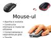 Mouse-ul
