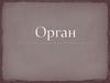 Орган. История органа