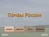 Почвы России