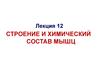 Строение и химический состав мышц. Лекция 12