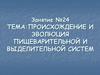 Происхождение и эволюция пищеварительной и выделительной систем