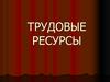 Трудовые ресурсы