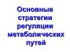 Основные стратегии регуляции метаболических путей