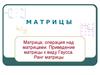 Матрицы