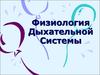 Физиология дыхательной системы