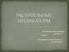 Растительные индикаторы