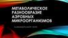 Метаболическое разнообразие аэробных микроорганизмов