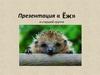 Презентация « Ёж» в старшей группе
