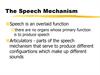The Speech Mechanism
