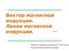 Вектор магнитной индукции. Линии магнитной индукции