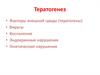 Тератогенез. Факторы внешней среды. Вирусы. Воспаление. Эндокринные нарушения. Генетические нарушения. (Часть 8)
