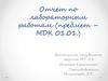 Отчет по лабораторным работам по информатике