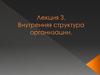 Внутренняя структура организации