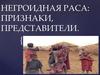 Негроидная раса: признаки, представители