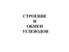Строение и обмен углеводов