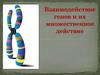 Взаимодействие генов и их множественное действие