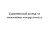 Современный взгляд на механизмы канцерогенеза