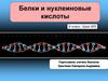 Белки и нуклеиновые кислоты