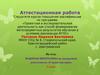 Аттестационная работа. Рабочая программа по внеурочной деятельности «Страна мастеров»
