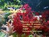 Красные водоросли