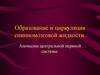 Образование и циркуляция спинномозговой жидкости