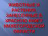 Животные и растения в Красной книге Нижегородской области