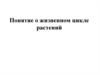 Понятие о жизненном цикле растений
