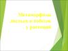 Метаморфозы листьев и побегов у растений