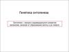 Генетика онтогенеза