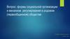 Формы социальной организации и механизм регулирования в первобытном обществе