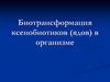 Биотрансформация ксенобиотиков, ядов в организме