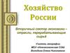 Хозяйство России. Вторичный сектор экономики. Отрасли, перерабатывающие сырьё