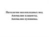 Патология околоплодных вод. Аномалии плаценты. Аномалии пуповины