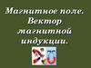 Магнитное поле.Вектор магнитной индукции.