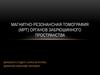 Магнитно-резонансная томография (МРТ) органов забрюшинного пространства